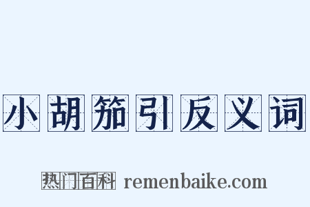 小胡笳引反义词是什么意思的图片